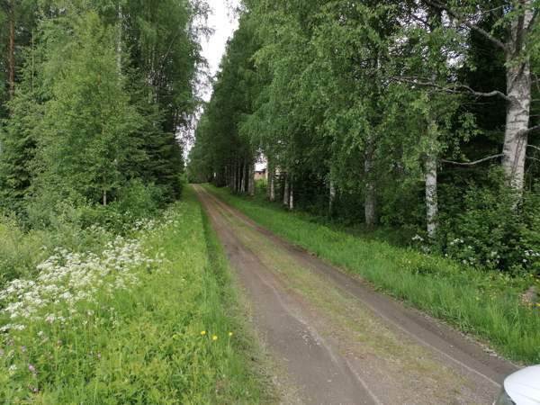 4h + avok + s  Ilomantsi - valokuva 3