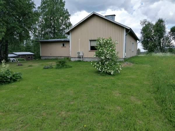 4h + avok + s  Ilomantsi - valokuva 2