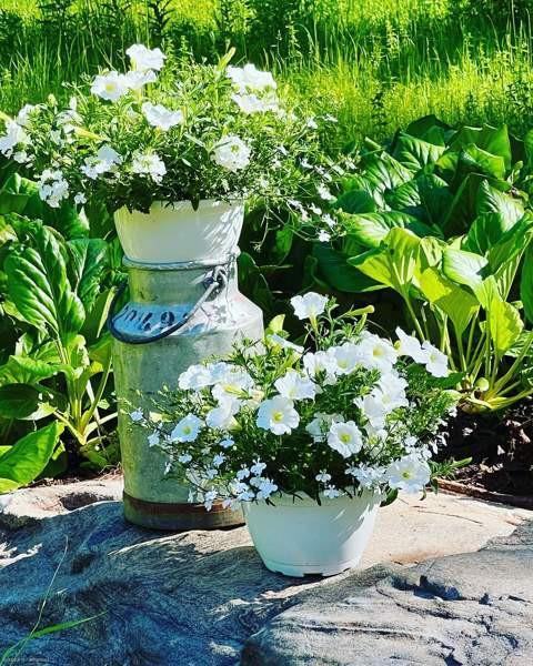 4 h + k + s  Rääkkylä - изображение 4