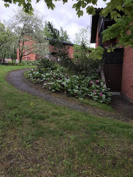 5h + k + s + ym  Lappeenranta – foto 4