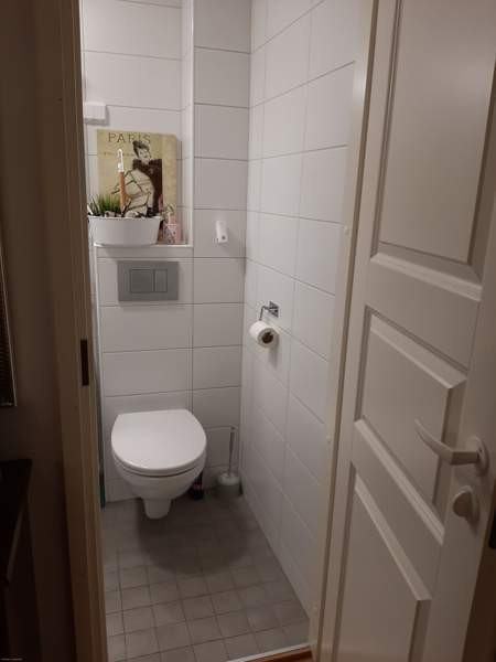 2h + avok + p  Raisio - photo 5