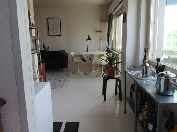 2h+k+las.parv.  Turtkul – foto 4