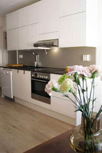 4h + k + s +  lisäksi khh, var, kellari, ask.h ja  Glebychevo – foto 7