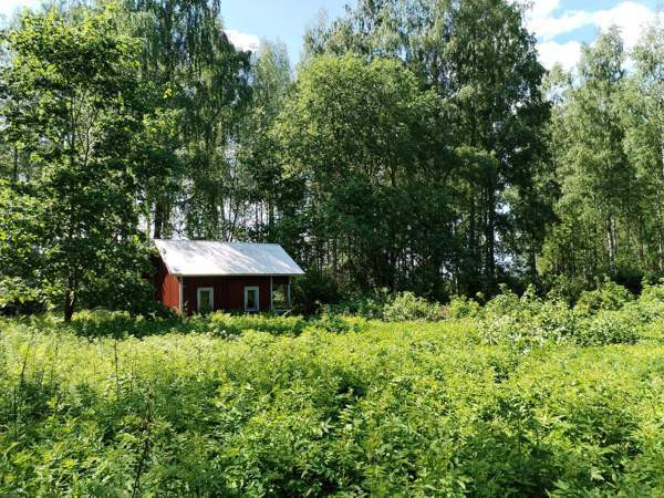 3h + k  Savonlinna - valokuva 5