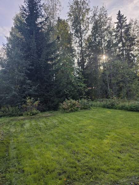 2h+k  Parkano - photo 7