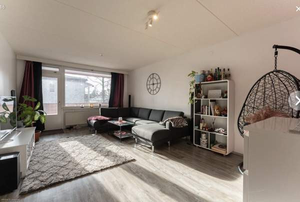 2h + p  Raasepori - valokuva 4