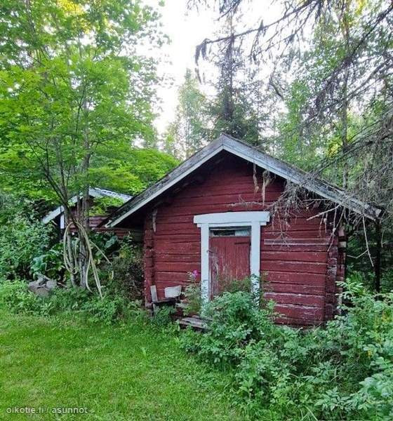 4h  Pielavesi – foto 6