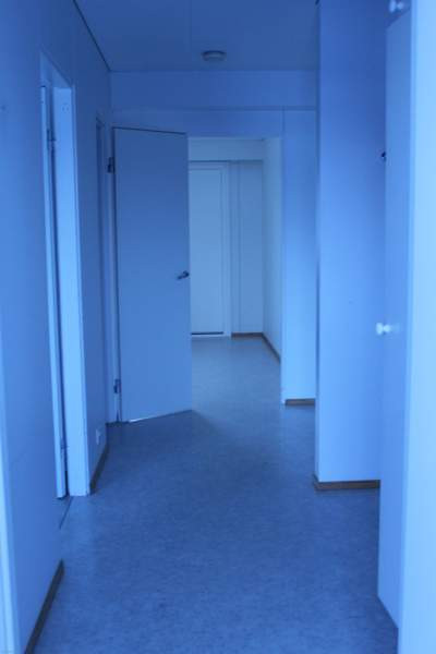 4h  Кемин - изображение 6