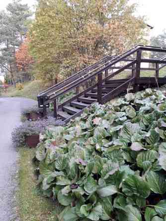 1h + pieni keittiö+wc/suihku  Viitasaari