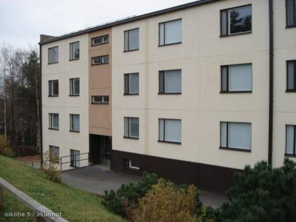 1h + pieni keittiö+wc/suihku  Viitasaari - valokuva 5