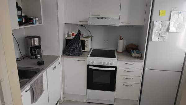 1h + pieni keittiö+wc/suihku  Viitasaari - valokuva 2