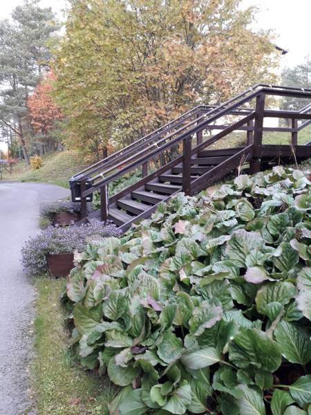 1h + pieni keittiö+wc/suihku  Viitasaari - valokuva 1