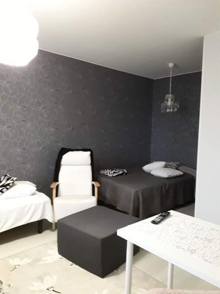 1h + pieni keittiö+wc/suihku  Viitasaari - valokuva 3