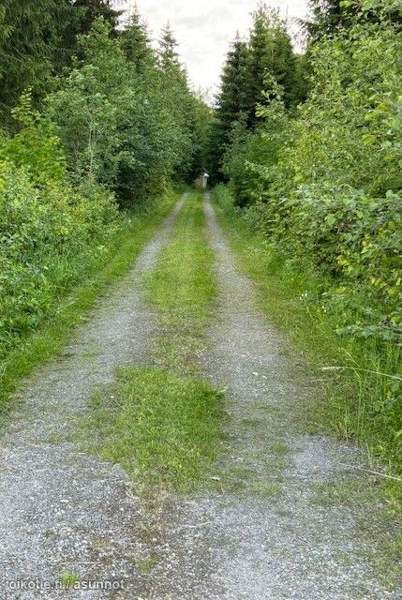 2h  Lapinlahti - изображение 2