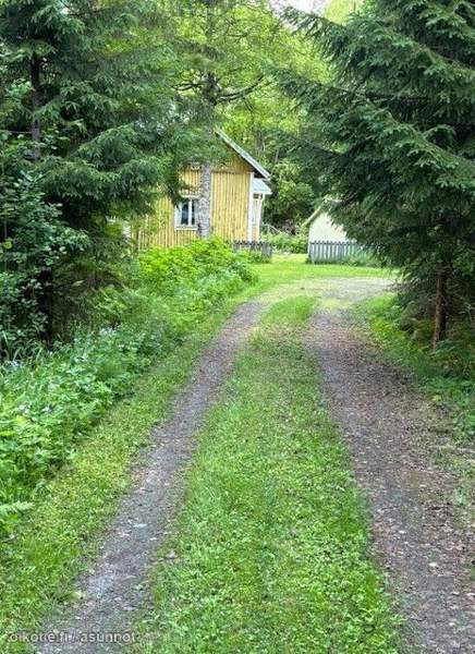 2h  Lapinlahti - изображение 3