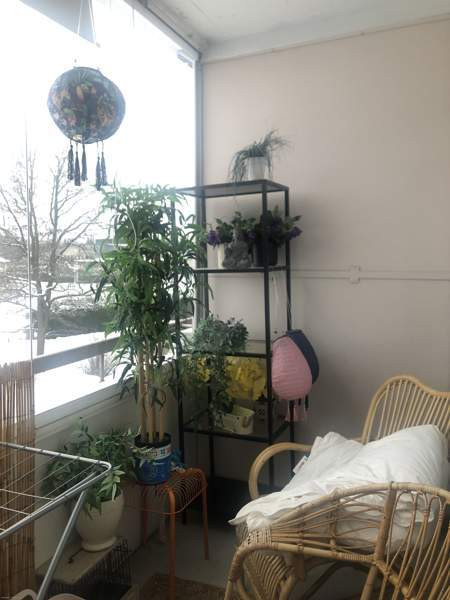 1h + k + p  Somero - изображение 6