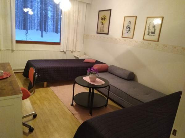 2h + s  Kemijärvi - photo 5