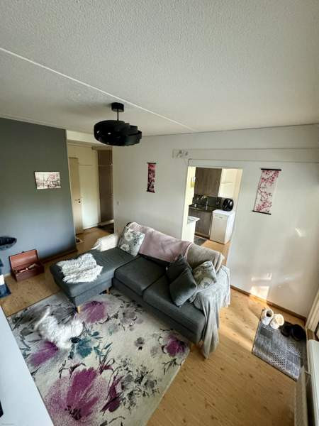 2h,k,kph,las.p  Glebychevo - photo 4