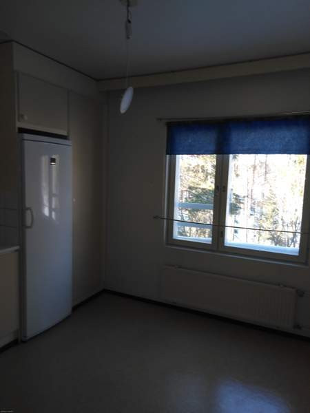 3h + k  Siilinjärvi - valokuva 4