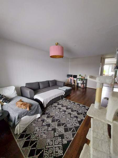 3h+k  Laitila – foto 4