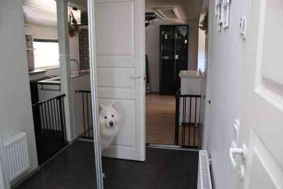 4h + avok + s + p  Lempaeaelae