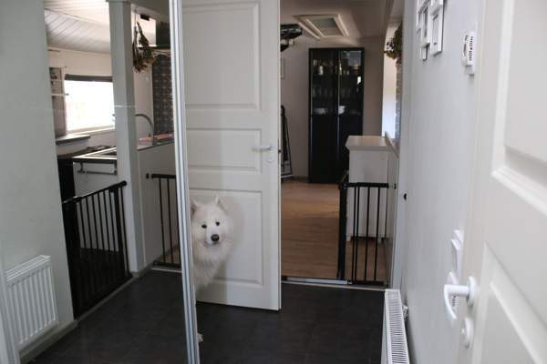 4h + avok + s + p  Лемпяаля - изображение 6