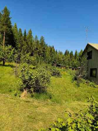 4h + k + s + p  Kannonkoski