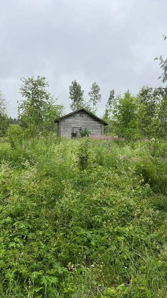 5h  Kivijärvi - изображение 4