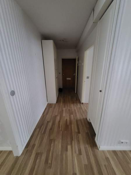 2h + k + p  Viitasaari - valokuva 8