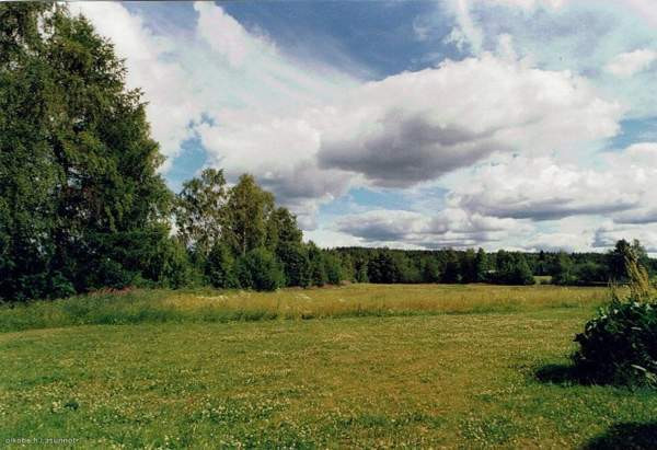 4 mh, oh, ruokailuhuone, k, aula, kph, 2 WC, iso k  Lieksa - photo 4