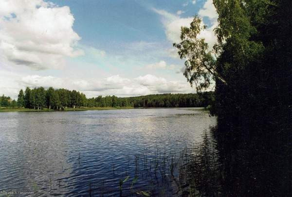 4 mh, oh, ruokailuhuone, k, aula, kph, 2 WC, iso k  Lieksa - photo 5