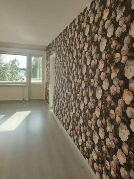 3h + k + p  Kemijärvi - photo 8