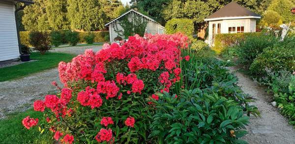 4h + k + s  Kivijärvi - valokuva 3