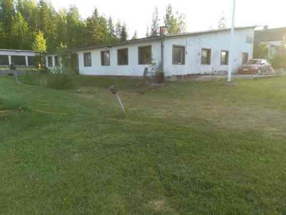 3h + k + s  Maentsaelae