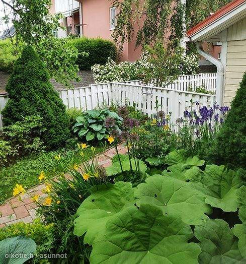 4h + avok+ sauna 2 WC, kodinhoitohuone, vaatehuone  Vantaa – foto 5