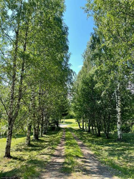 4h + k + s  Juuka - изображение 6