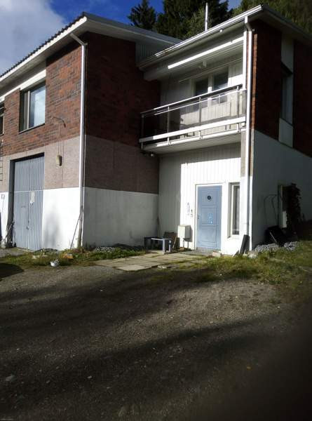 11h + s + p  Glebychevo - valokuva 2