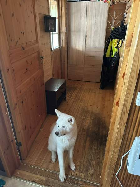 5h + s  Sonkajärvi - photo 5