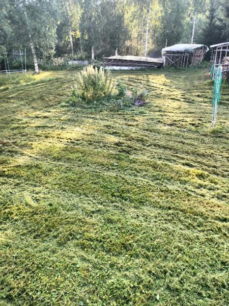 5h + s  Sonkajärvi - photo 2