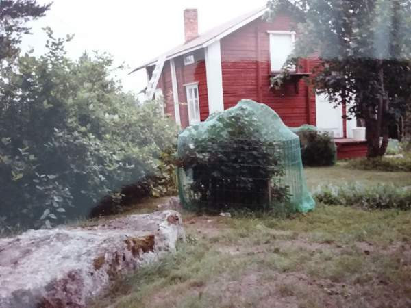 3h  Vaasa - valokuva 4