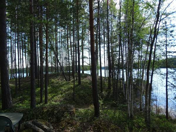 1h  Ruokolahti – foto 3