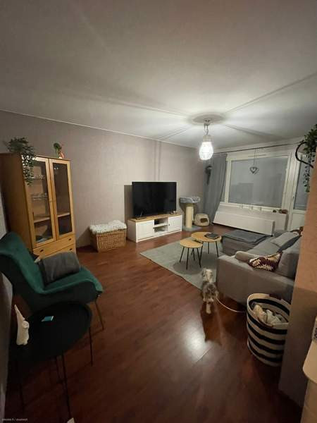 2h + k + p  Rovaniemi – foto 2