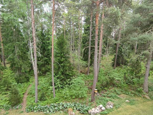 1h + avok + p  Turtkul - valokuva 7