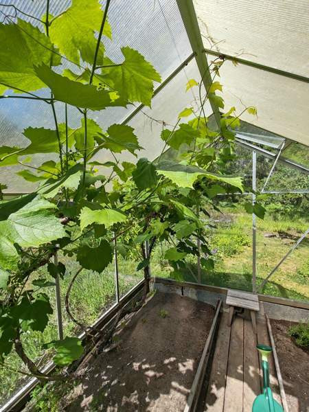 5h+k  Raasepori - valokuva 8