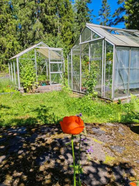 5h+k  Raasepori - valokuva 7