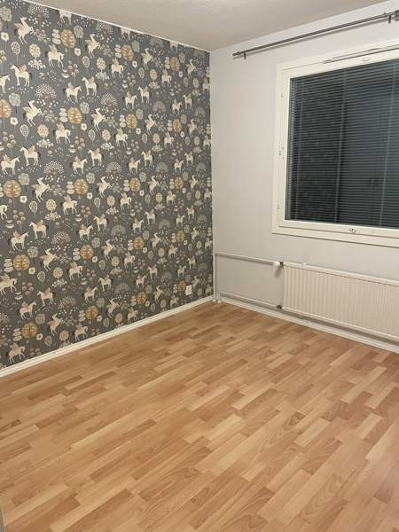 3h + p  Рованиеми - изображение 6