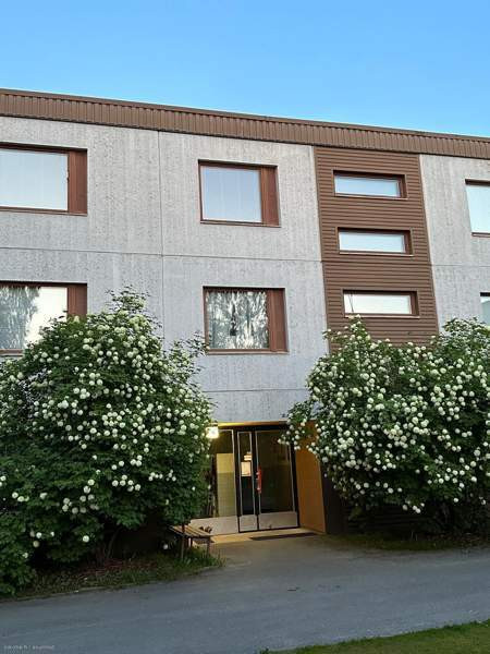 3h + k + p  Миккели - изображение 2