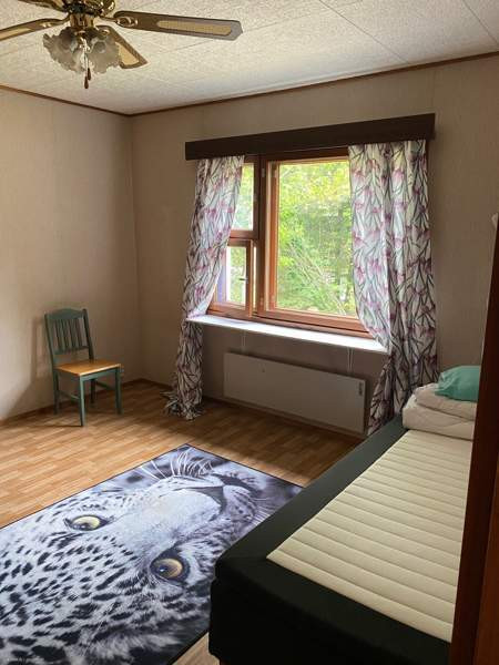 4h  Dzhankoy - valokuva 5