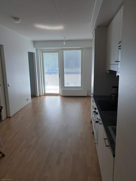 2h + kt + p  Jaervenpaeae - photo 3