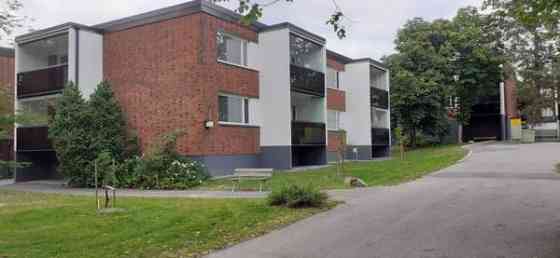 3h + k + p  Турткуль